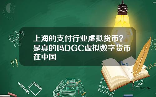 上海的支付行业虚拟货币？是真的吗DGC虚拟数字货币在中国