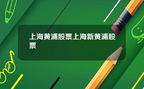 上海黄浦股票上海新黄浦股票