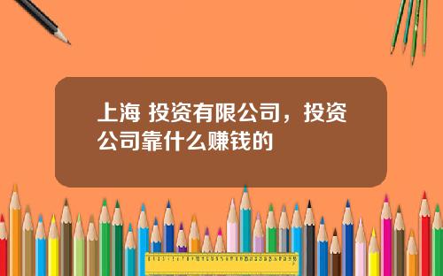 上海 投资有限公司，投资公司靠什么赚钱的