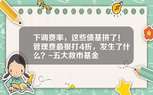下调费率，这些债基拼了！管理费最狠打4折，发生了什么？-五大救市基金