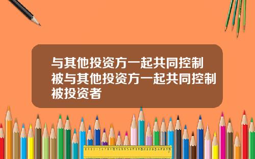 与其他投资方一起共同控制被与其他投资方一起共同控制被投资者