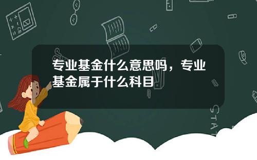 专业基金什么意思吗，专业基金属于什么科目