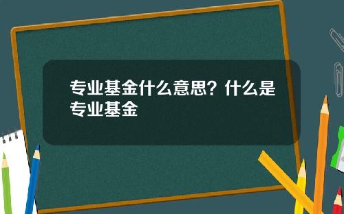 专业基金什么意思？什么是专业基金