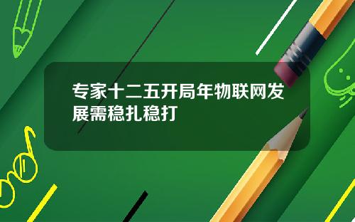 专家十二五开局年物联网发展需稳扎稳打