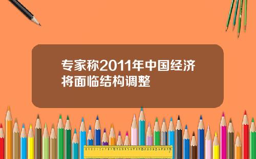 专家称2011年中国经济将面临结构调整
