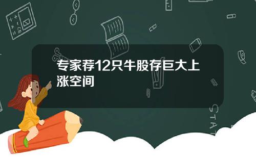 专家荐12只牛股存巨大上涨空间