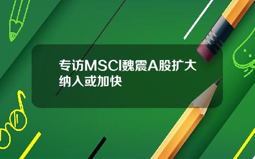 专访MSCI魏震A股扩大纳入或加快