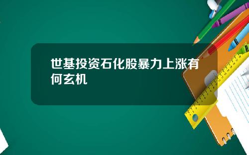 世基投资石化股暴力上涨有何玄机