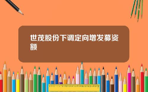 世茂股份下调定向增发募资额