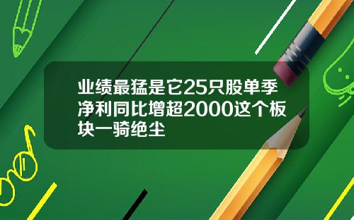 业绩最猛是它25只股单季净利同比增超2000这个板块一骑绝尘