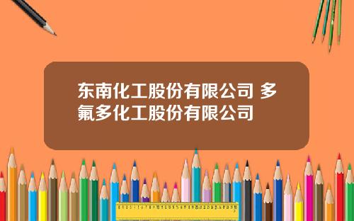 东南化工股份有限公司 多氟多化工股份有限公司