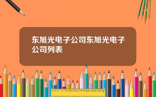 东旭光电子公司东旭光电子公司列表