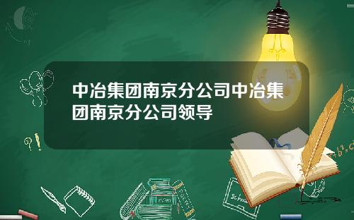 中冶集团南京分公司中冶集团南京分公司领导