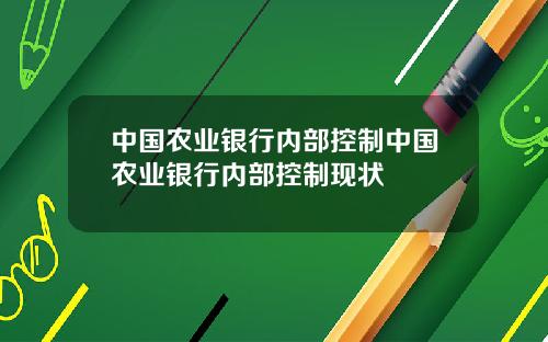 中国农业银行内部控制中国农业银行内部控制现状