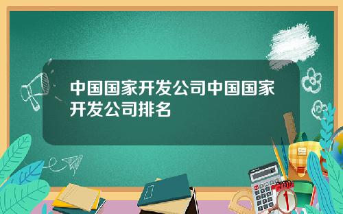 中国国家开发公司中国国家开发公司排名