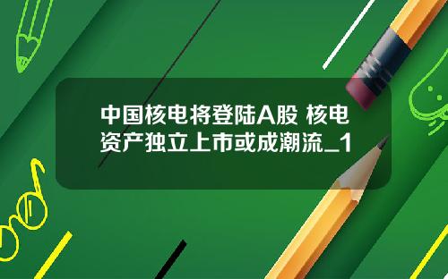 中国核电将登陆A股 核电资产独立上市或成潮流_1