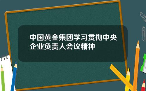 中国黄金集团学习贯彻中央企业负责人会议精神