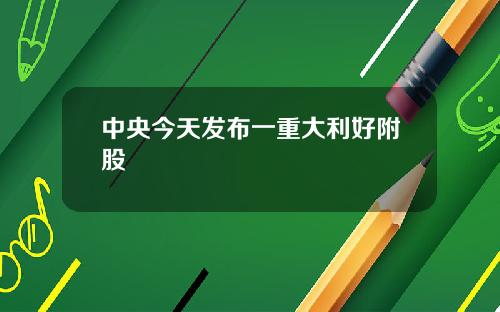 中央今天发布一重大利好附股