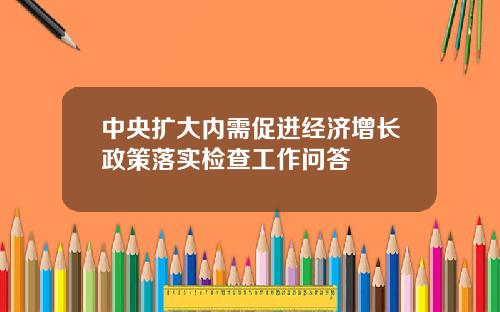 中央扩大内需促进经济增长政策落实检查工作问答