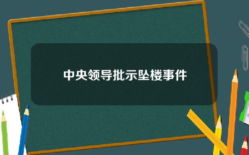 中央领导批示坠楼事件