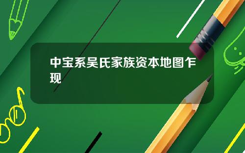 中宝系吴氏家族资本地图乍现