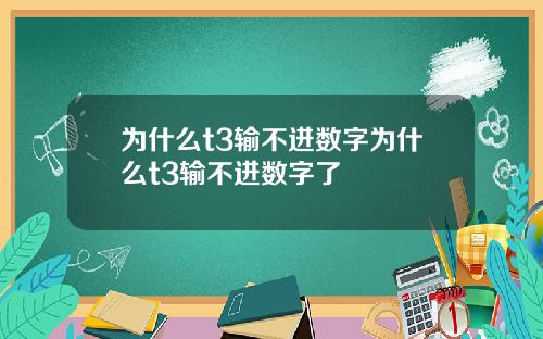 为什么t3输不进数字为什么t3输不进数字了