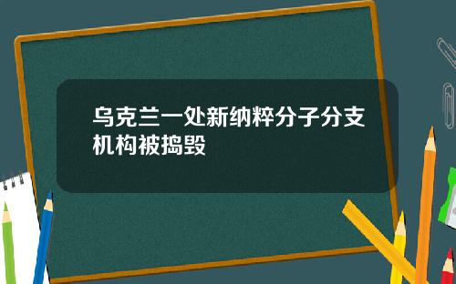 乌克兰一处新纳粹分子分支机构被捣毁