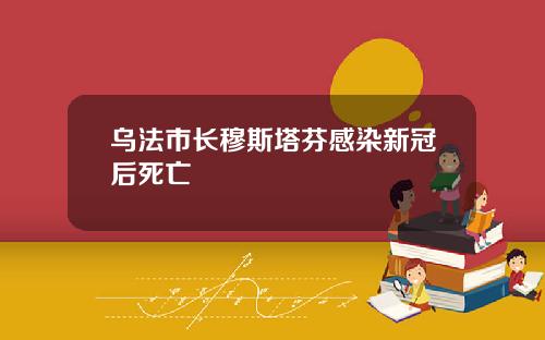 乌法市长穆斯塔芬感染新冠后死亡