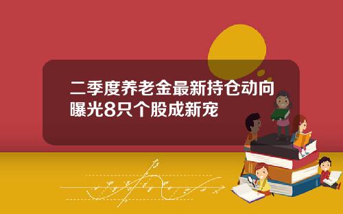 二季度养老金最新持仓动向曝光8只个股成新宠