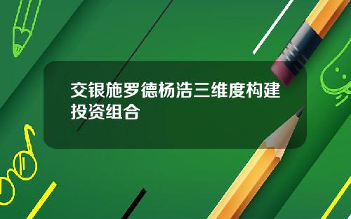 交银施罗德杨浩三维度构建投资组合