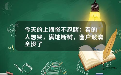 今天的上海惨不忍睹：看的人想哭，满地断树，窗户玻璃全没了