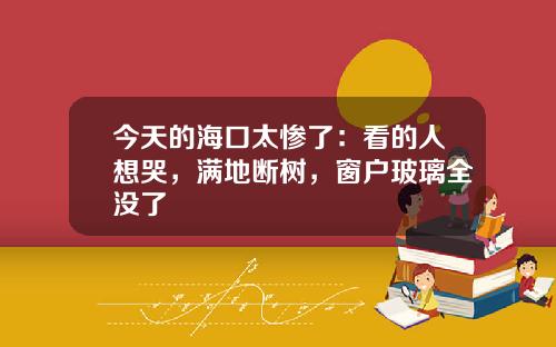 今天的海口太惨了：看的人想哭，满地断树，窗户玻璃全没了