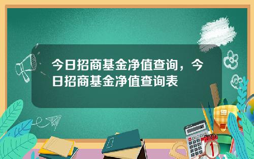 今日招商基金净值查询，今日招商基金净值查询表