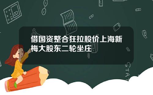 借国资整合狂拉股价上海新梅大股东二轮坐庄
