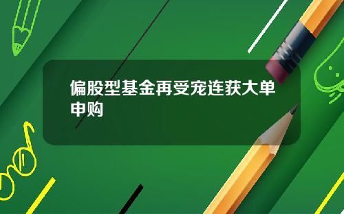 偏股型基金再受宠连获大单申购