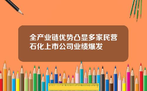 全产业链优势凸显多家民营石化上市公司业绩爆发