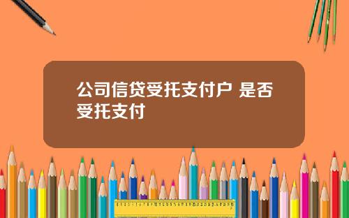 公司信贷受托支付户 是否受托支付