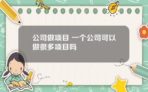 公司做项目 一个公司可以做很多项目吗