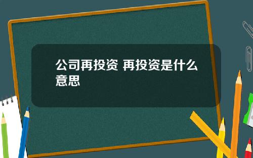 公司再投资 再投资是什么意思