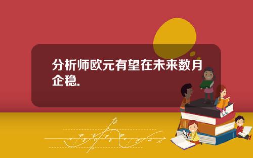 分析师欧元有望在未来数月企稳.