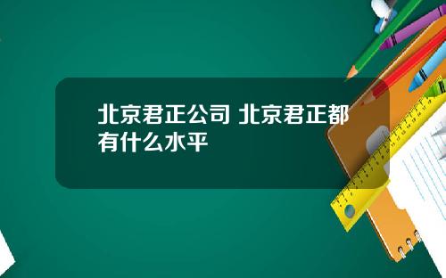 北京君正公司 北京君正都有什么水平