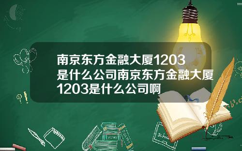 南京东方金融大厦1203是什么公司南京东方金融大厦1203是什么公司啊