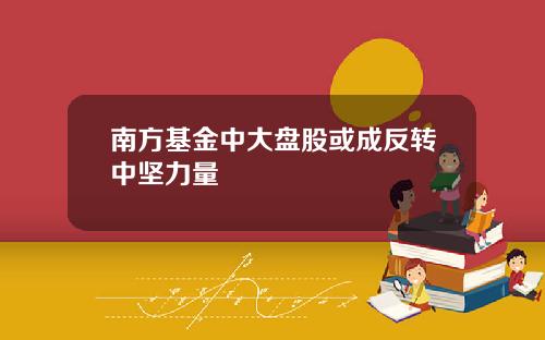 南方基金中大盘股或成反转中坚力量