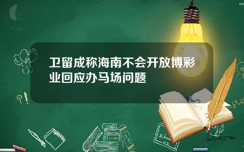 卫留成称海南不会开放博彩业回应办马场问题