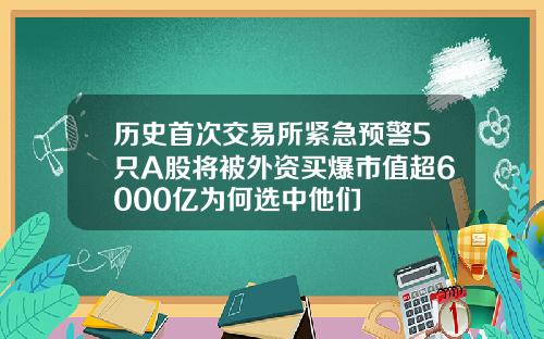 历史首次交易所紧急预警5只A股将被外资买爆市值超6000亿为何选中他们