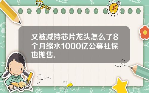 又被减持芯片龙头怎么了8个月缩水1000亿公募社保也抛售.