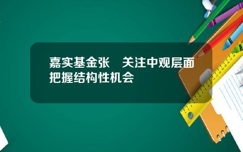 嘉实基金张弢关注中观层面把握结构性机会