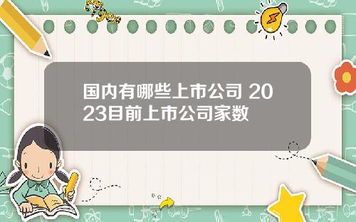 国内有哪些上市公司 2023目前上市公司家数