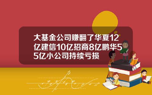 大基金公司赚翻了华夏12亿建信10亿招商8亿鹏华55亿小公司持续亏损