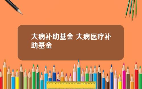 大病补助基金 大病医疗补助基金